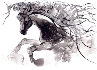 horse © okalinichenko