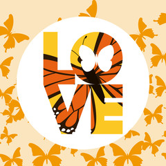 beautiful butterflies