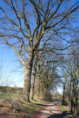 Wanderweg-I-Wittmoor-Hamburg