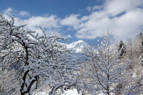 Pinzgau, &Ouml;sterreich