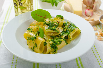 Rigatoni with garlic and herbs pesto