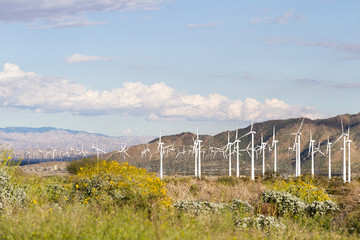 wind power