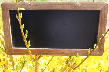 schiefertafel im busch