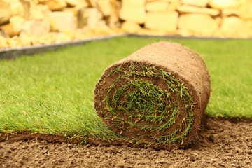 rollrasen verlegt VIII