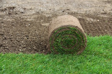 rollrasen verlegt XIV