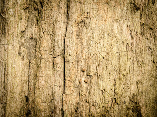 Grunge wood