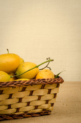 Marian Plum