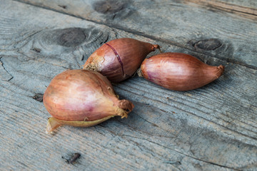 Shallot onions on wood