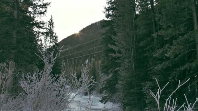 Crick in Rocky Mountains