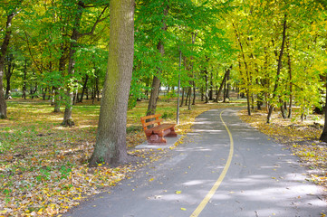 Fototapeta premium autumn landscape in a beautiful park
