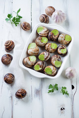 Bourguignonne snail au gratin, high angle view, selective focus