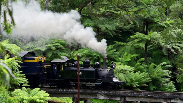 Puffing Billy steam train