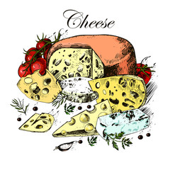 Hand drawing of dairy products, cheese, herbs and vegetables on
