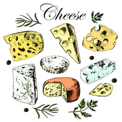 hand drawing set with different cheeses