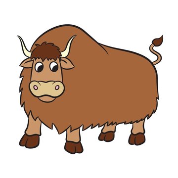 Illustration of yak on a white background. Vector