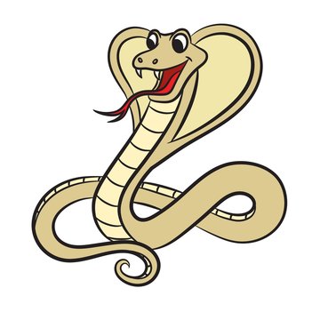 Illustration of cobra snake on a white background. Vector