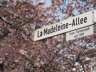 La Madeleine-Allee Kaarst