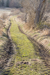 Obraz premium Country lane, tracks from tractor