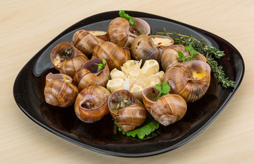 Escargot