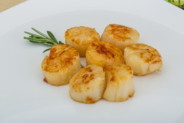 Grilled scallops