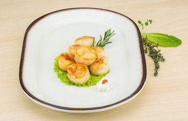 Grilled scallops