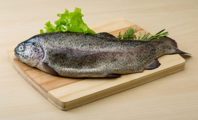 Raw fresh trout