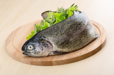 Raw fresh trout