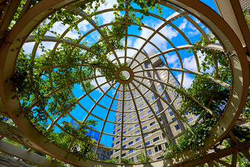Boston skyscrapers from Norman Leventhal Park