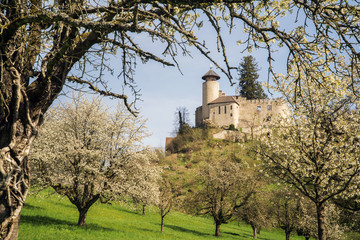 Frühling in Arlesheim