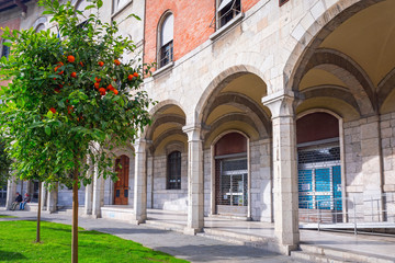Fototapeta na wymiar Architecture of Pisa city with oranges on the trees, Italy
