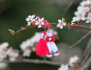 Мартинички на ветке дерева © dinar12