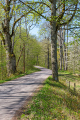 Fototapeta premium Country road