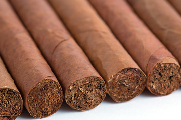 Cuban cigars isolated on white background