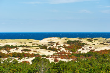 Landscape with sand dunes at Cape Cod