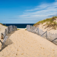 Path way to the beach at Cape Cod