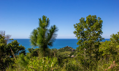 Obraz premium Verde e oceano