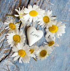 Obraz premium Love: white heart and daisies on blue background :)