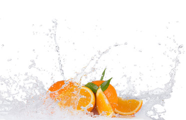 Fototapeta na wymiar Oranges with water splashes on white background