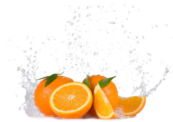 Fototapeta na wymiar Oranges with water splashes on white background