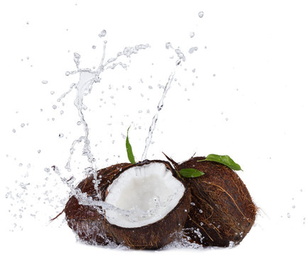 Cracked coconuts in water splash on white
