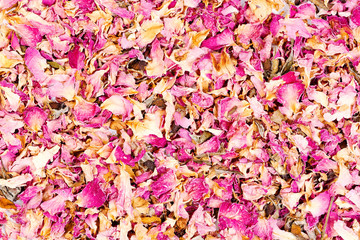 Dried rose petals close-up background.