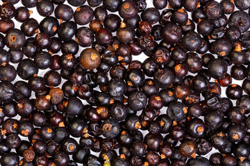 Common juniper berries. Juniperus communis.