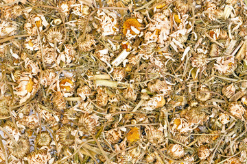 Background of organic chamomile herbal tea.