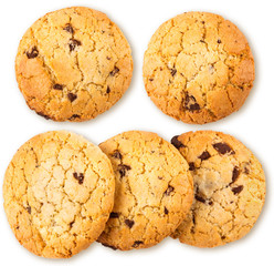 Fresh chocolate chip cookie isolated on white