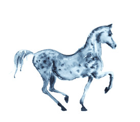 Watercolor grey horse on white. Vector.