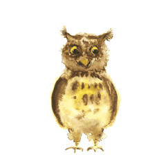 Watercolor owl. Vector.