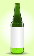 Beer Bottles with Blank Label