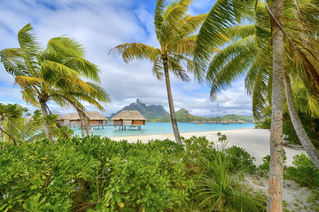 White Sand Beach in Polynesia