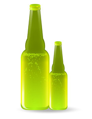 Beer Bottles Vector Drinks