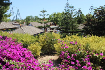 Красивая природа в парке развлечений © Roman TINIAKOV